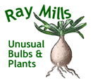 Ray Mills Logo